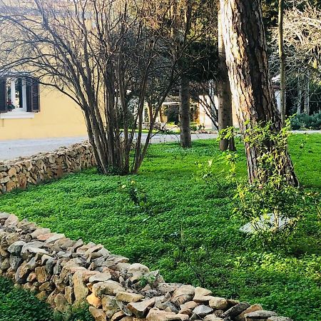 Villa In Salento 레체 외부 사진